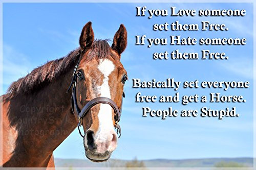 Horse Pony Equestrian Funny Fridge Magnet Gift