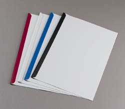 50 Klemmschienen 6mm (A4) weiss