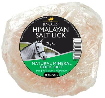 Lincoln Himalayan Salt Licks - Horse Pony Supplements_simple
