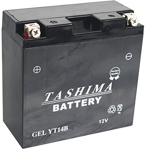 Greenstar 11408 Batterie YT14BBS, Petite, Noir