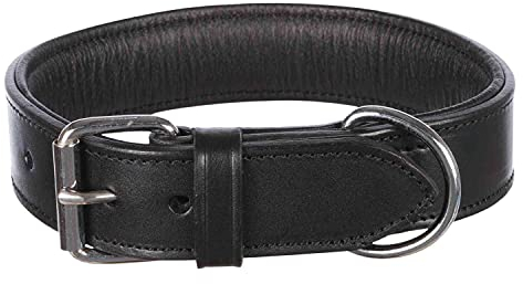 TRIXIE Active Halsband Leder Größe M: Halsumfang 38–47 cm/40 mm in schwarz - stilvolles Lederhalsband für mittelgroße Hunde, genäht und unterfüttert, 1847