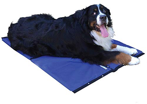 CoolerDog Kühlmatte für Hunde, Hydro-Kühlmatte, 4 Stück, für XL-Hunde