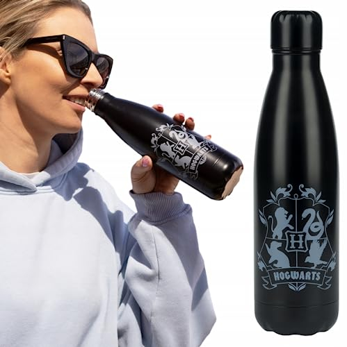 Wizarding World Harry Potter Bouteille D'eau Isotherme Sana BPA Gourde Inox Reutilisable Anti-Fuite Pour École Voyage Sport Activités En Extérieur 500 ml Harry Potter