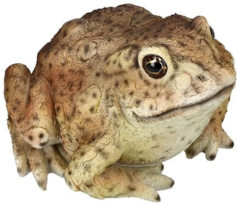 Figuren Shop GmbH Realistische Gartenfigur: Kröte von HotAnt 12,5 cm - Wetterfester Frosch für Ihren Garten