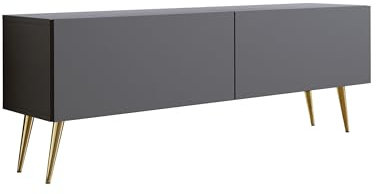 3E 3xE living.com Meuble TV : Deux Portes, Deux étagères, Couleur : Anthracite, Pieds dorés D : L : 140 cm, H : 52 cm, P : 32 cm