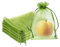 100 Pieces Green Fruit Protection Bags Fruit Protection Bags Fruit Netting Bags with Drawstring for Protecting Vegetable Net Cover Reusable Mesh Bag for Garden Apple Trees(15 * 20cm)