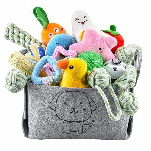Ousiya 24 Pack Puppy Toys Set with Storage Box - Small Dog Teething Toys for Playing and Training