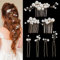 7 Stück Pearl Bride Hochzeit Haarkamm Perlen Haarschmuck Gold Brautschmuck Haare Perlen Hochzeit Braut Haarnadeln U Form Clip U-förmig Hochzeit Haarspangen für Frauen und Mädchen
