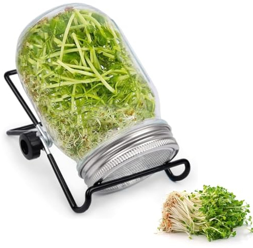 UQMIQURA Lot de bocaux à germer 1000 ml pour germination en verre à germination avec 1 couvercle en acier inoxydable 304 et 1 support, pour alfalfa, brocoli, haricots mungo