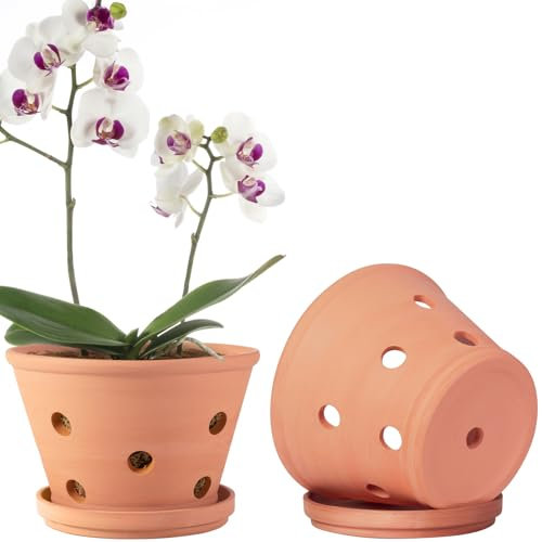 Macetas de terracota para orquídeas de 8 pulgadas con agujeros y platillos, paquete de 2 macetas de arcilla para trasplantar, maceta grande de orquídea de terracota, macetas para orquídeas interiores