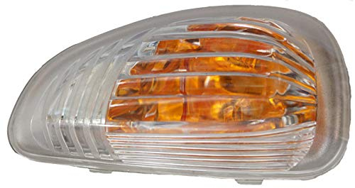 Twowinds Spiegelblinker Kompatibel mit Renault Master 3, Nissan NV400, Opel Movano, Beifahrerseite, Rechte Seite, 7485120620