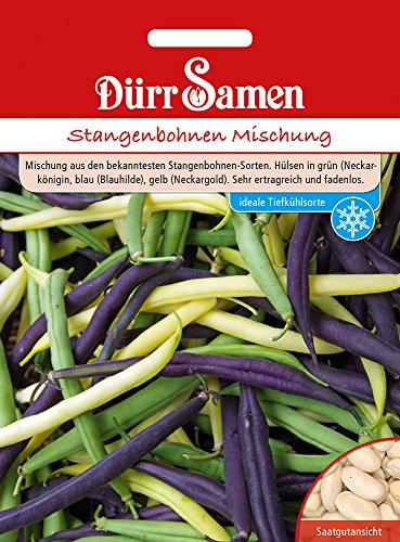 Stangenbohnen Samen Mischung Bohnensamen Gelb Grün Blau Bohnen ca 100 Korn Saatgut Gemüse Garten Hochbeet Kübel Dürr Samen
