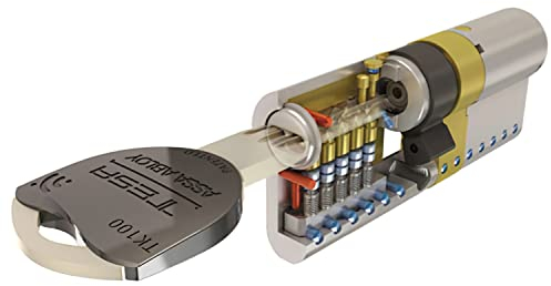 Tesa Axe Abloy - Cylindre de Haute sécurité, TK100, Double Embrayage, Levier Court