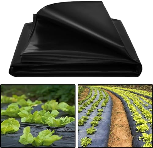 Plástico Negro Agricola, 2 x 6 m Plastico Invernadero, Reutilizable Huerto Plastico, Puede ser Cortado Plástico para Invernadero Ideal para Hogares Jardines Edificios Invernaderos y Otras Ocasiones