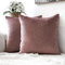 MIULEE 2er Set Samt Kissenbezüge Kissenhülle Kissenbezug Sofakissen Dekorative Dekokissen Couchkissen Zierkissen mit Verstecktem Reißverschluss für Sofa Schlafzimmer 60x60 cm Marmelade