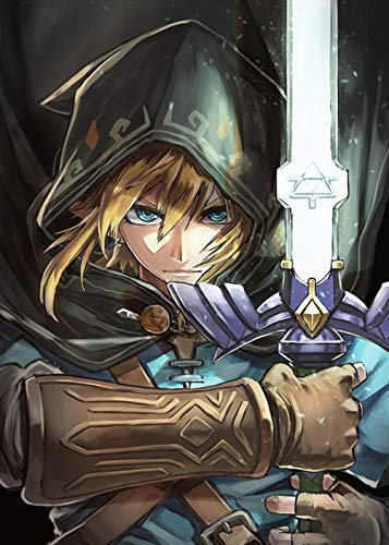 AItmp 5D DIY Diamond Painting Kit, Die Legende von Zelda Round Resin Diamond Cross Stitch, Home Decoration Geschenk 40X50cm