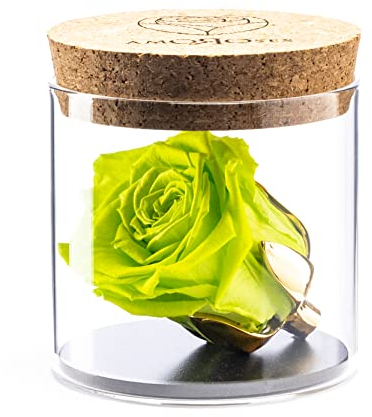 Amoroses Bijou - Rosa Stabilizzata Eterna con calice placcato oro 24K in barattolo di vetro | Idea Regalo (Rosa Verde Mela)