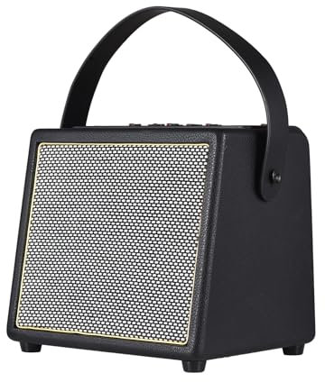 Jemora Amplificador de Guitarra eléctrica de 30 W con función OTG BT Amplificador de Guitarra acústica portátil Recargable Efecto de Coro de reverberación Entradas de micrófono Rec Entrada Auxiliar
