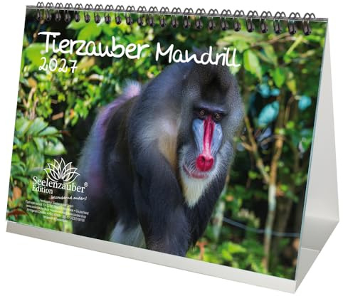 Tierzauber Mandrill DIN A5 Tischkalender für 2027 Affen - Seelenzauber