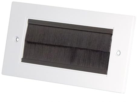 Selectric SQ-6 Media/Data Brush Plate (2 Gang Plate 14.5cm x 8.5cm, White Edge)