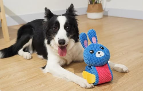 Green Paw – Gioco interattivo per cani – Gioco intelligente da sniffare e indistruttibile - Peluche per cani con nascondiglio per il cibo - Ideale in caso di cattivo tempo o quando siete al lavoro