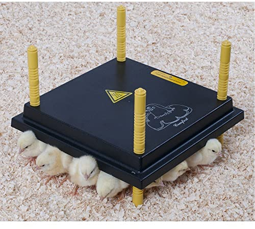 Comfort Wärmeplatten versch. Größen 40 x 60cm