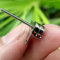 AGOUNOD Schrittmotor 5pcs 2 -Phase 4-Wire-Mikro-Mini-Miniatur 6mm Stepper Motor 5mm Long Welle Linear Schraube Digitalkamera Objektiv