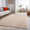 SIMPEX Teppich Wohnzimmer Schlafzimmer Esszimmer Läufer Flur Flauschiger Teppich Waschbar rutschfest Soft Weich Carpet Kurzflor Größen, Beige, 240 x 340 cm