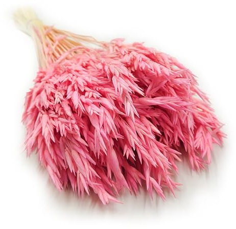 Enchanted Dekogras Hafer Getrocknetes Gras Ziergras Natürlich Deko Rosa