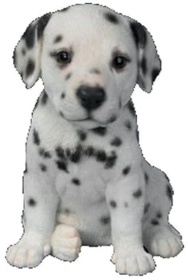 Dalmatian Puppy Pet Pal by Vivid Arts