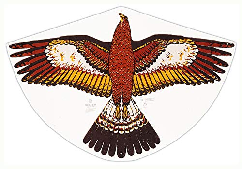 Günther Flugspiele 1180 - Einleiner-Drachen Goldadler, ca. 92 x 62 cm, Kinderdrachen aus robuster PE-Folie, für Kinder ab 4 Jahren, inkl. Griff und Drachenschnur