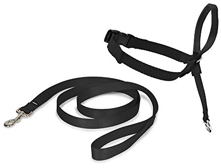 PetSafe Easy Walk Halfter, Hundeleine, zum Ziehen, verstellbare Passform, bequem, Größe L, Schwarz