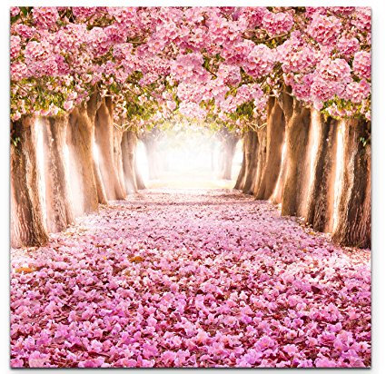Paul Sinus Art Leinwandbilder | Bilder Leinwand 90x90cm Allee aus rosa Blüten