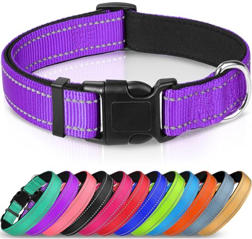 Joytale Reflective Dog Collar, Soft Neoprene Padded Breathable Nylon Pet Collar Adjustable for Small Dogs, S, Purple