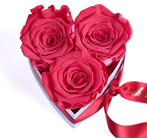 ROSEMARIE SCHULZ Heidelberg Engel ohne Flügel nennt Man Mama 3 konservierte Rosen Box Herz Geschenk zum Muttertag Blumen (Korall, 3 Rosen Mama, ich hab Dich lieb)