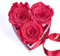 ROSEMARIE SCHULZ Heidelberg Engel ohne Flügel nennt Man Mama 3 konservierte Rosen Box Herz Geschenk zum Muttertag Blumen (Korall, 3 Rosen Mama, ich hab Dich lieb)