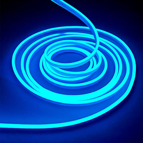 balabaxer Ice Blue neon LED Strip Lights, 16.4 ft/5m 12V DC 600 SMD2835 LEDs Waterproof Rope Light for Indoor and Outdoor Home Decoration (no Power Adapter Included).