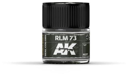 AK Interactive - Rlm 73
