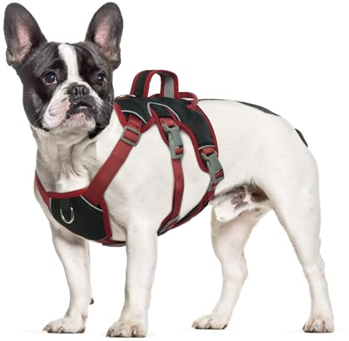 Hjumarayan Sicherheitsgeschirr Hund - Panikgeschirr für Hunde, Anti Zieh Geschirr für Hunde Ausbruchsicher, Anti Zug Hundegeschirr mit Griff für Französische Bulldogge Hündin, Dackel (Schwarz M)