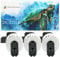 3x Endlos-Etiketten kompatibel für Brother DK-22214 12mm x 30.48m P-Touch QL-500 500BS 550 560 560VP 570 700 710W 720NW 800 810W 820NWB 1050 1050N 1060N 1100 1110NWB, Thermopapier mit Kunststoffhalter