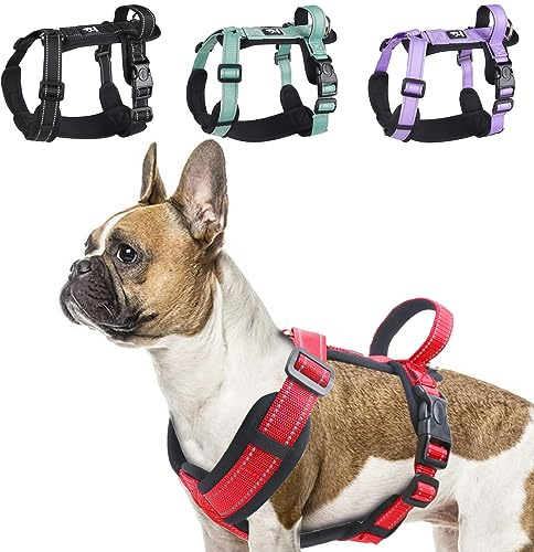 LiebeDD Hundegeschirr Rot M - Brustgeschirr Hund Klein Reflektierend Anti Zieh Hunde Geschirr Hund Zuggeschirr Gepolstert mit Griff Dog Harness für Welpen Kleine und Mittelgroße Hunde