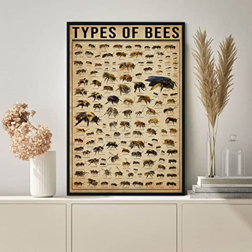 Types of Bees,12 * 8 Inches Vintage Funny Poster Wall Decor Art Gift Retro Picture Metal Sign
