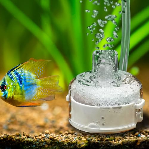DONGKER Filtro Acquario Mini,Nano Filtri Biochimica in Spugna per Acquari Silenzioso Rimovibile con Pietra Porosa per Serbatoio Pesce da 1-5 Galloni (Pompa Aria Non Inclusa)