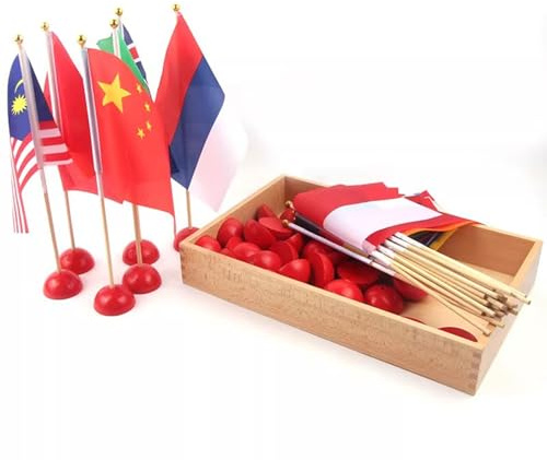 tyzqsm Drapeaux Montessori du Monde Entier, Jouets éducatifs pour Les activités de géographie