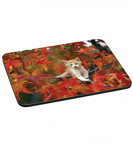 Fabulous Tapis de Souris Chat dans Les Bois