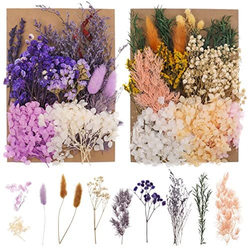 Bohoman Fiori Secchi Naturali, 2 Borse Fiore Essiccato Pressati Fiori Secchi Veri Fiori Secchi per Resina Foglie Floreali Colorati e Misti Petali per Fai da Te Scrapbooking Candele Decorazione