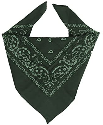 EUROXANTY flaschengrünes Bandana-Tuch | großes Bandana-Kopftuch | Bandana für Männer und Frauen | 100% Baumwolle Bandana mit Paisleymuster