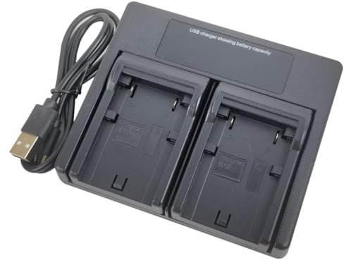 USB Dual Battery Charger For JVC BN-VF808 BN-VF808U BN-VF814 BN-VF815 BN-VF815U BN-VF823 BN-VF823U BN-VF923 BN-VF908 AA-VF8 GR-D, GY-HM, GZ-HD, GZ-HM, GZ-MG, GZ-MS Series Camera