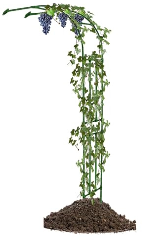 Robustes Rankgitter für Kletterpflanzen, 60 cm x 240 cm, schwarze Pergola-Unterstützung für Rosen und Reben, elegante Outdoor-Gartenlaube für Terrassen, langlebiges, dekoratives Design