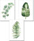 Nicole Knupfer 3-teiliges Vintage-Posterdruck, Botanische Grünpflanzen, Blätter, Pop-Illustration, Wanddekoration, A, 40 x 50 cm